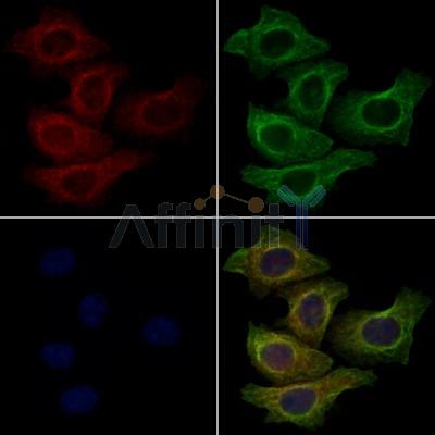 Валидация Affinity AF7951 - 4709