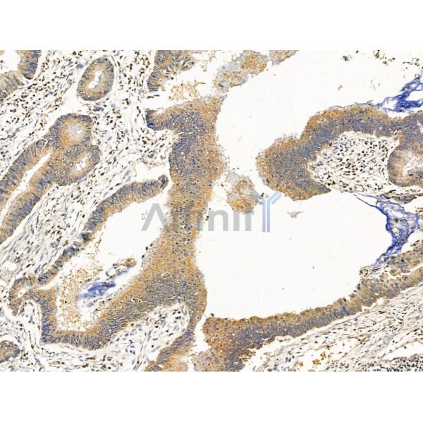 Валидация Affinity DF13569 - 9028