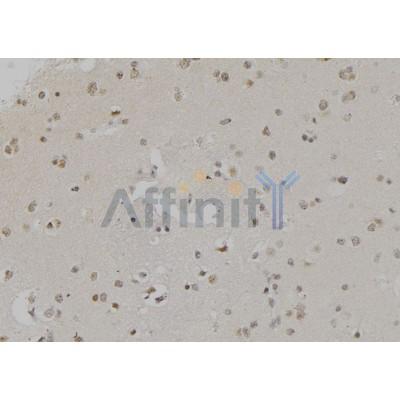 Валидация Affinity DF6934 - 18545