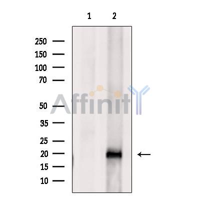 Валидация Affinity DF7378 - 19105
