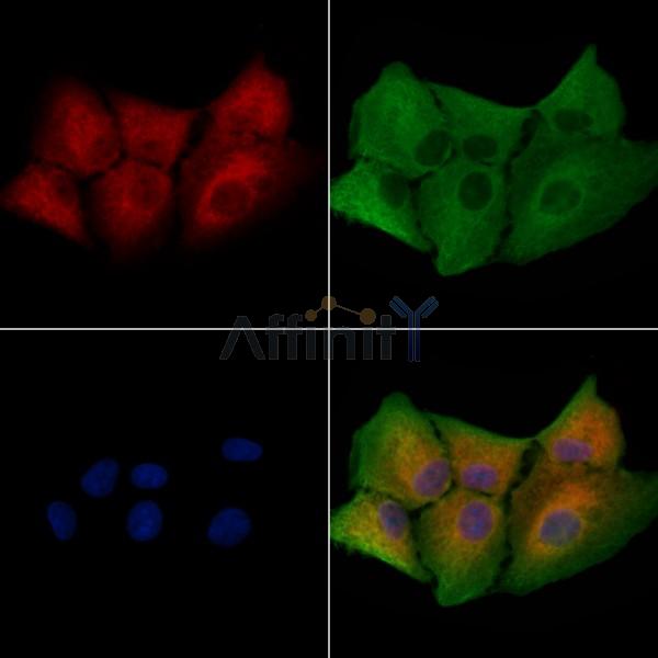 Валидация Affinity DF2815 - 13559