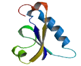 Single Ig IL1 Related Receptor (SIGIRR) Single Ig IL1 Related Receptor (SIGIRR)