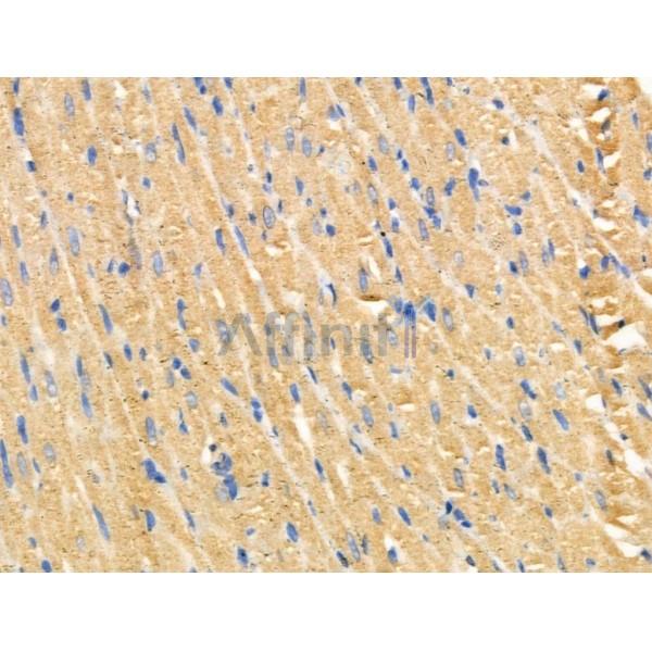 Валидация Affinity DF3329 - 14191