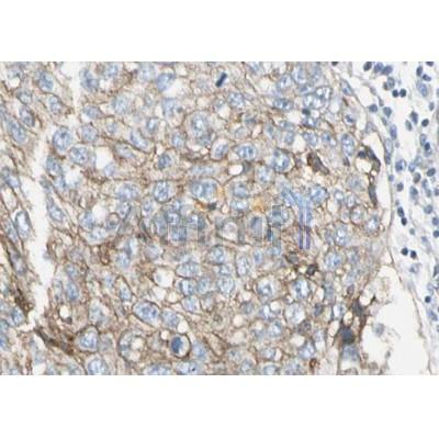 Валидация Affinity AF5176 - 2600