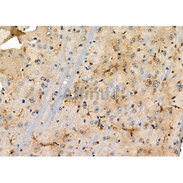 Валидация Affinity DF2971 - 13716