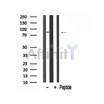 Валидация Affinity AF7882 - 4623