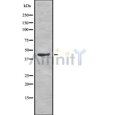 Валидация Affinity DF10281 - 5888