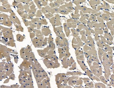 Валидация Affinity DF15841 - 12349