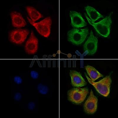 Валидация Affinity DF4789 - 16522