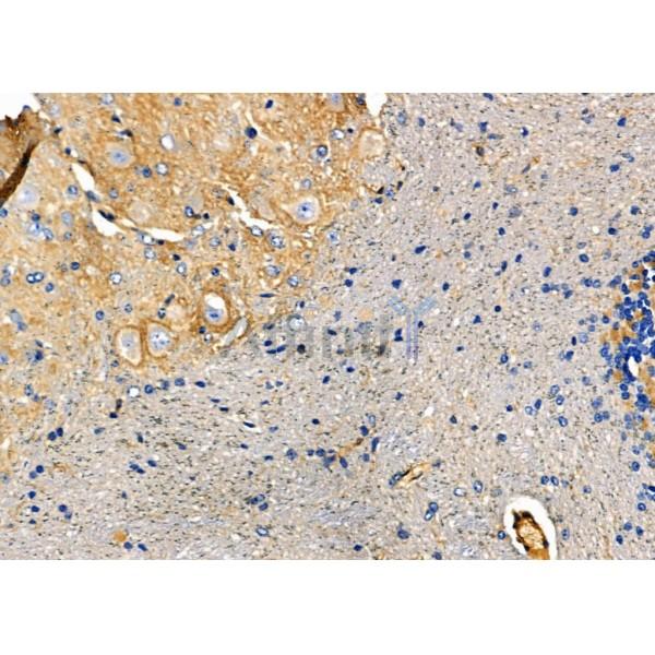 Валидация Affinity DF5001 - 16865