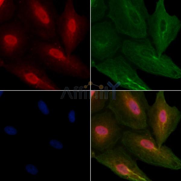 Валидация Affinity DF3031 - 13763