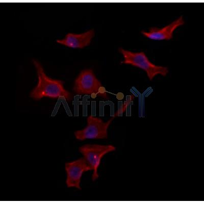 Валидация Affinity DF12139 - 6314