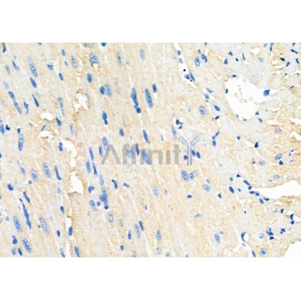 Валидация Affinity DF4764 - 16473