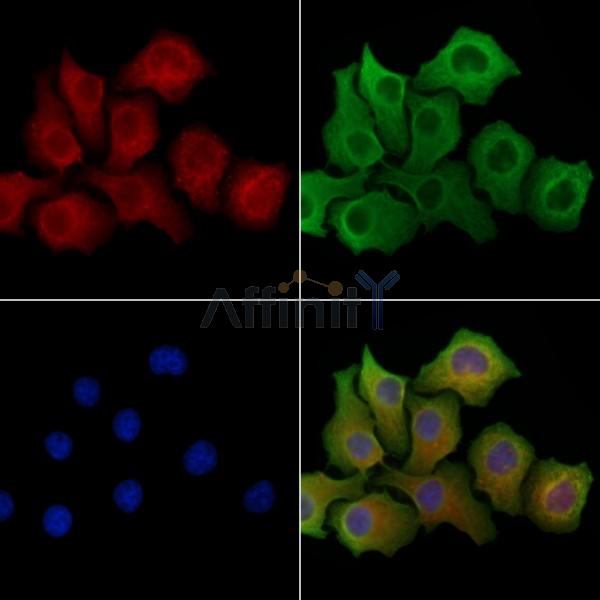 Валидация Affinity DF8316 - 20169