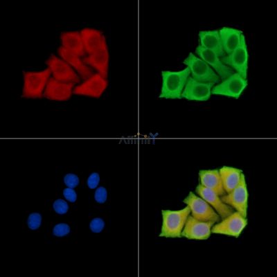 Валидация Affinity DF2816 - 13562