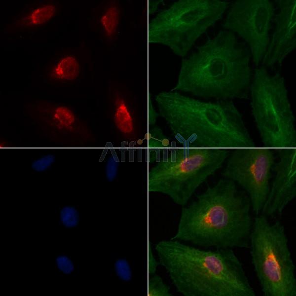 Валидация Affinity DF6241 - 17527