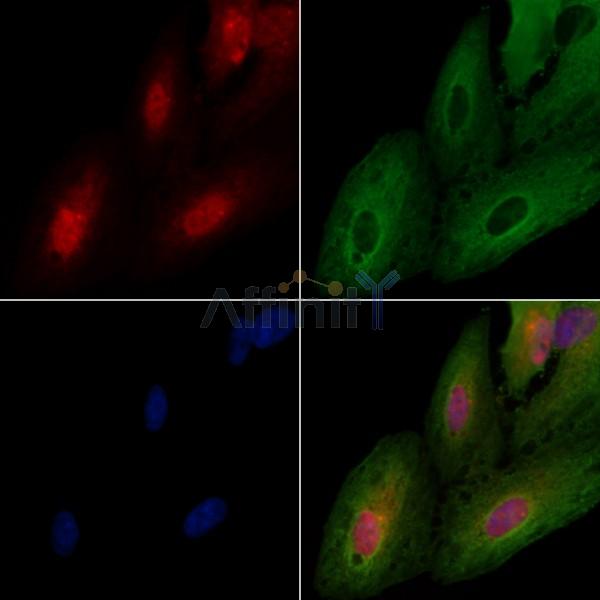 Валидация Affinity DF3122 - 13895