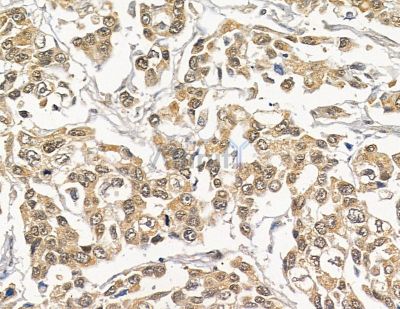 Валидация Affinity DF9709 - 22497