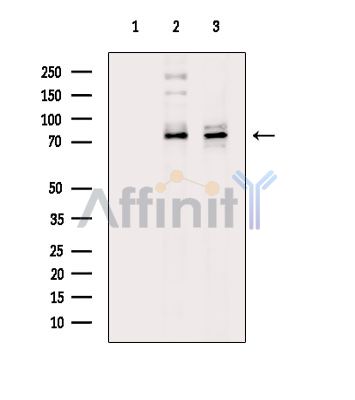 Валидация Affinity DF15105 - 11349