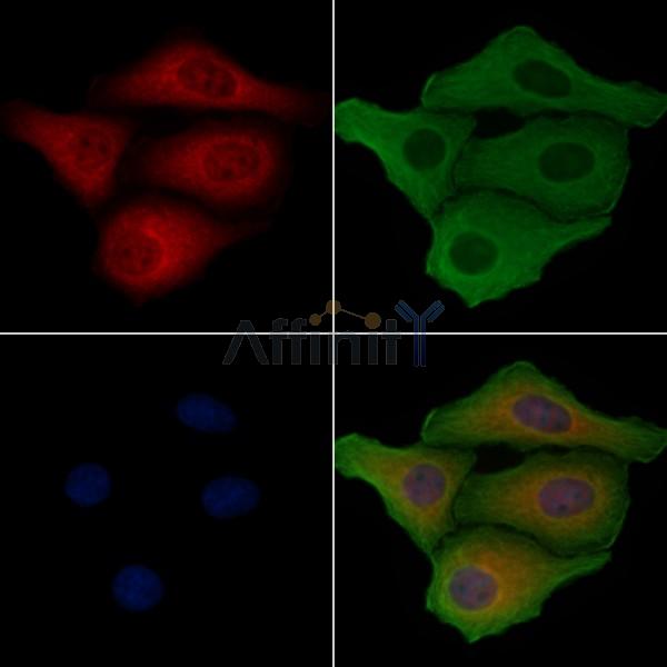 Валидация Affinity DF4206 - 15567