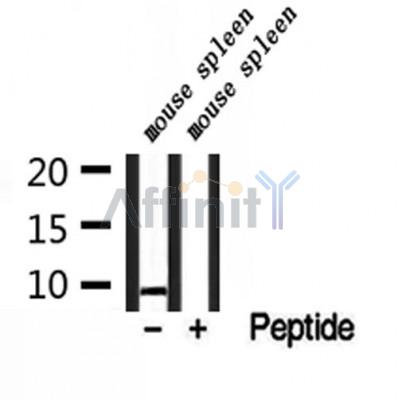 Валидация Affinity DF9667 - 22424