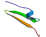 FAT Tumor Suppressor Homolog 4 (FAT4)