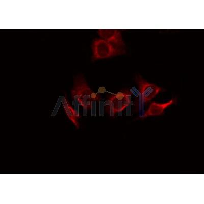 Валидация Affinity DF8390 - 20260