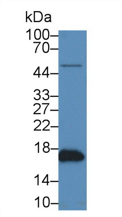 14781