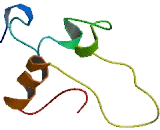 IGF Like Family, Member 2 (IGFL2) IGF Like Family, Member 2 (IGFL2)