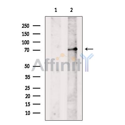 Валидация Affinity DF6455 - 17838