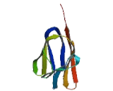 Cell Adhesion Molecule 3 (CADM3) Cell Adhesion Molecule 3 (CADM3)