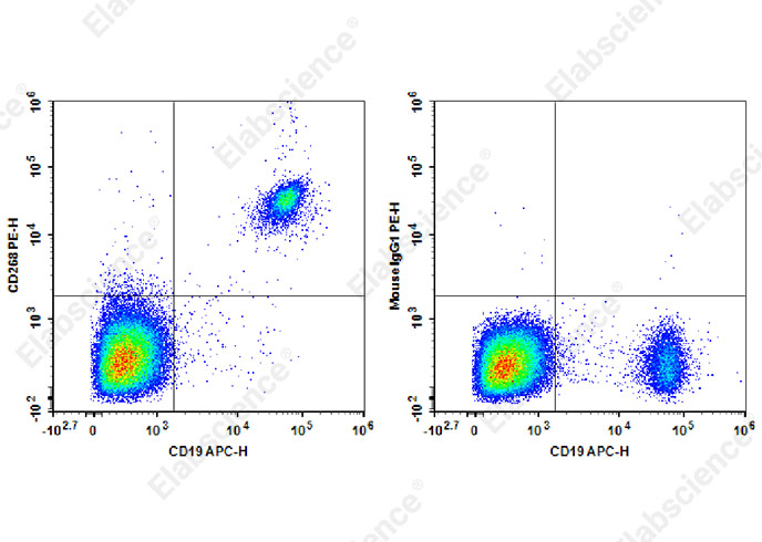 Валидация Elabscience AN00316D