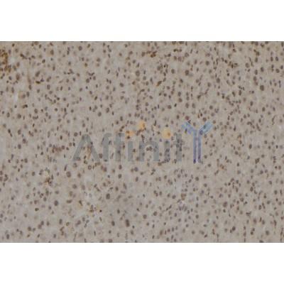 Валидация Affinity DF6840 - 18410