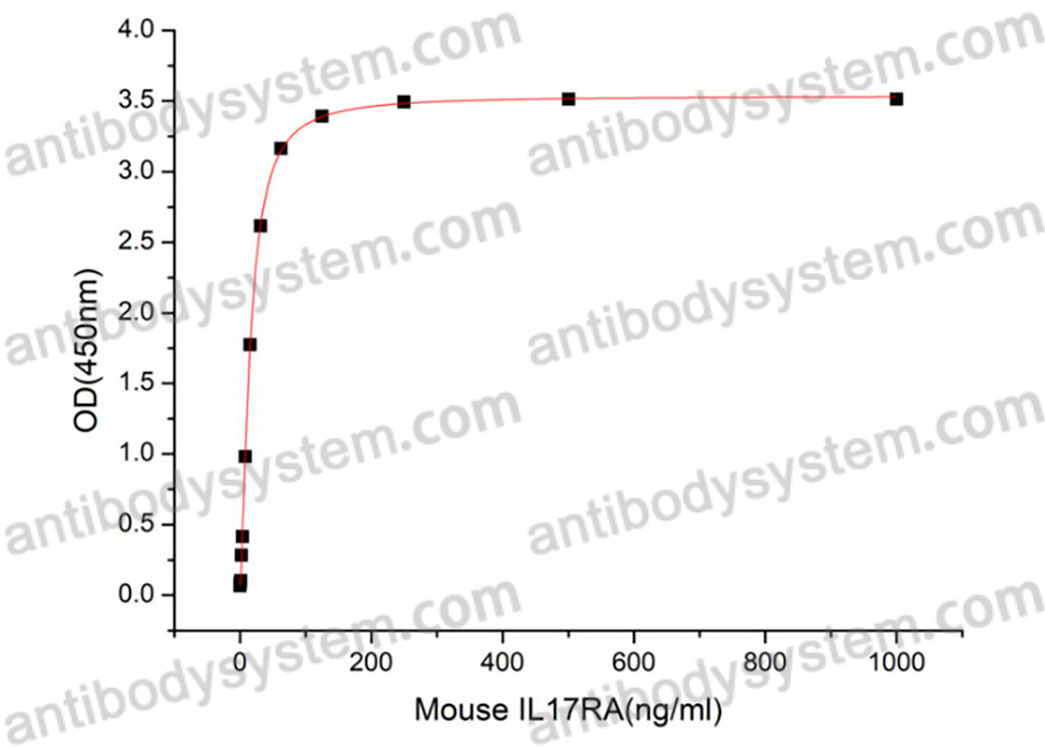 Валидация активности AntibodySystem AMH28801