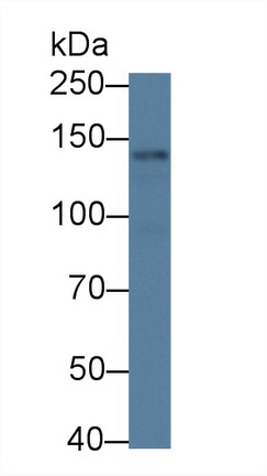 13905