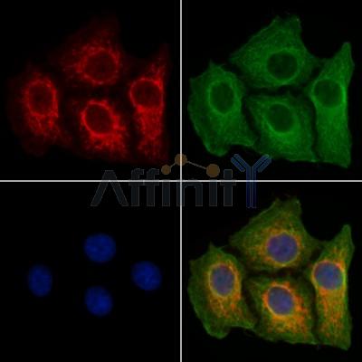 Валидация Affinity DF2270 - 12824