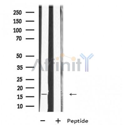 Валидация Affinity DF9626 - 22346