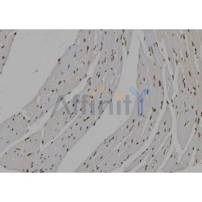 Валидация Affinity DF7291 - 18968