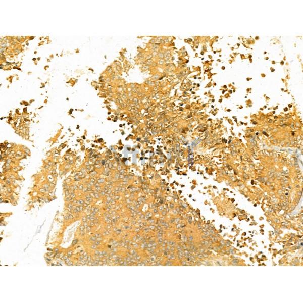 Валидация Affinity DF12243 - 6555