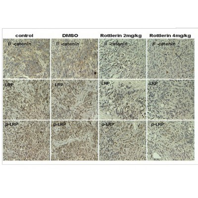 Валидация Affinity DF2995 - 13732