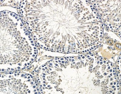 Валидация Affinity DF15668 - 12117