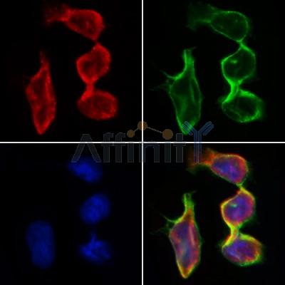 Валидация Affinity AF5210 - 2671