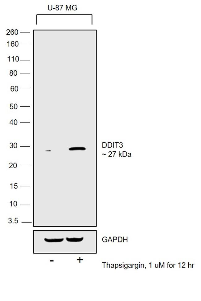 Валидация AssayVector ARM2776(5444)