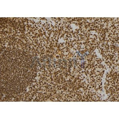 Валидация Affinity DF7334 - 19036