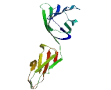Signaling Lymphocytic Activation Molecule Family, Member 9 (SLAMF9) Signaling Lymphocytic Activation Molecule Family, Member 9 (SLAMF9)