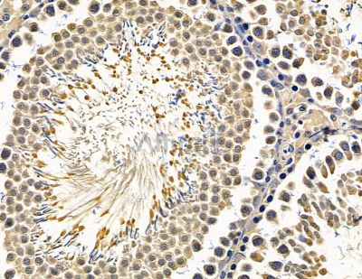 Валидация Affinity DF15650 - 12083