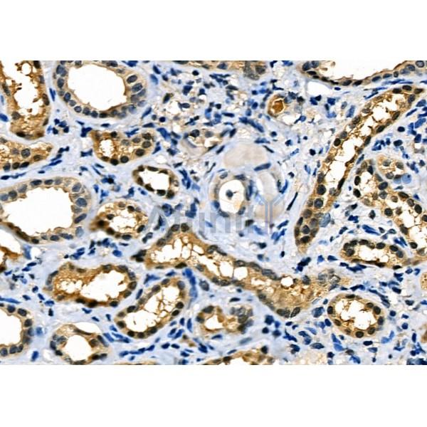 Валидация Affinity DF12291 - 6653