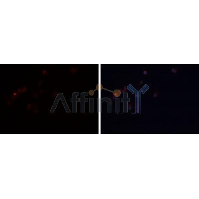 Валидация Affinity DF7602 - 19375