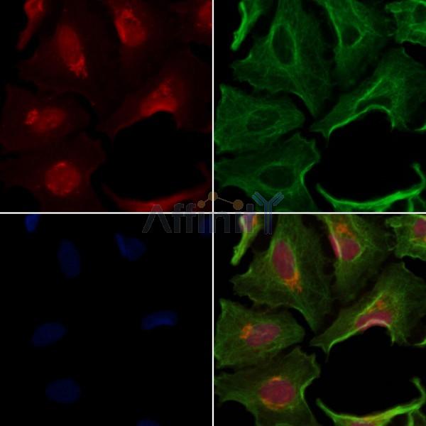 Валидация Affinity DF13524 - 8935