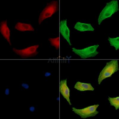 Валидация Affinity DF13919 - 9661